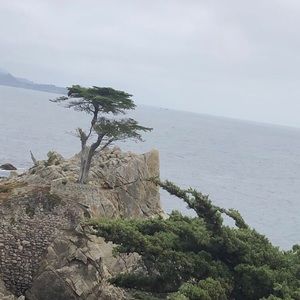 Meet your Posher, Mari